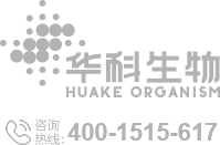 &#20061;&#28216;&#28216;&#25103;&#23448;&#32593;&#45;&#20061;&#28216;&#65288;&#20013;&#22269;&#65289;